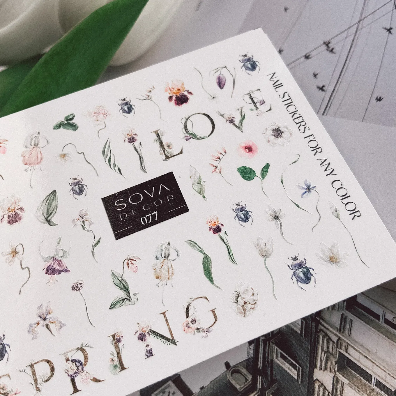 Слайдер-дизайн SOVA DECOR C077