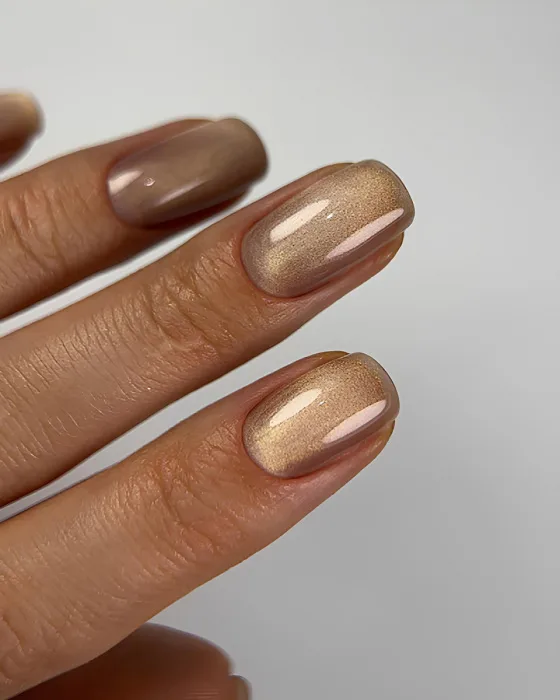 Гель-лак DARK Cat Eye №14, 6 мл