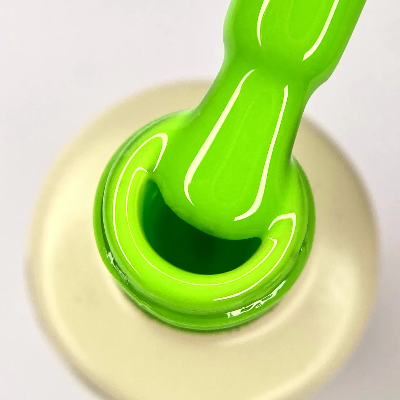 Гель-лак Nika Zemlyanikina the gel polish №041, 6 мл