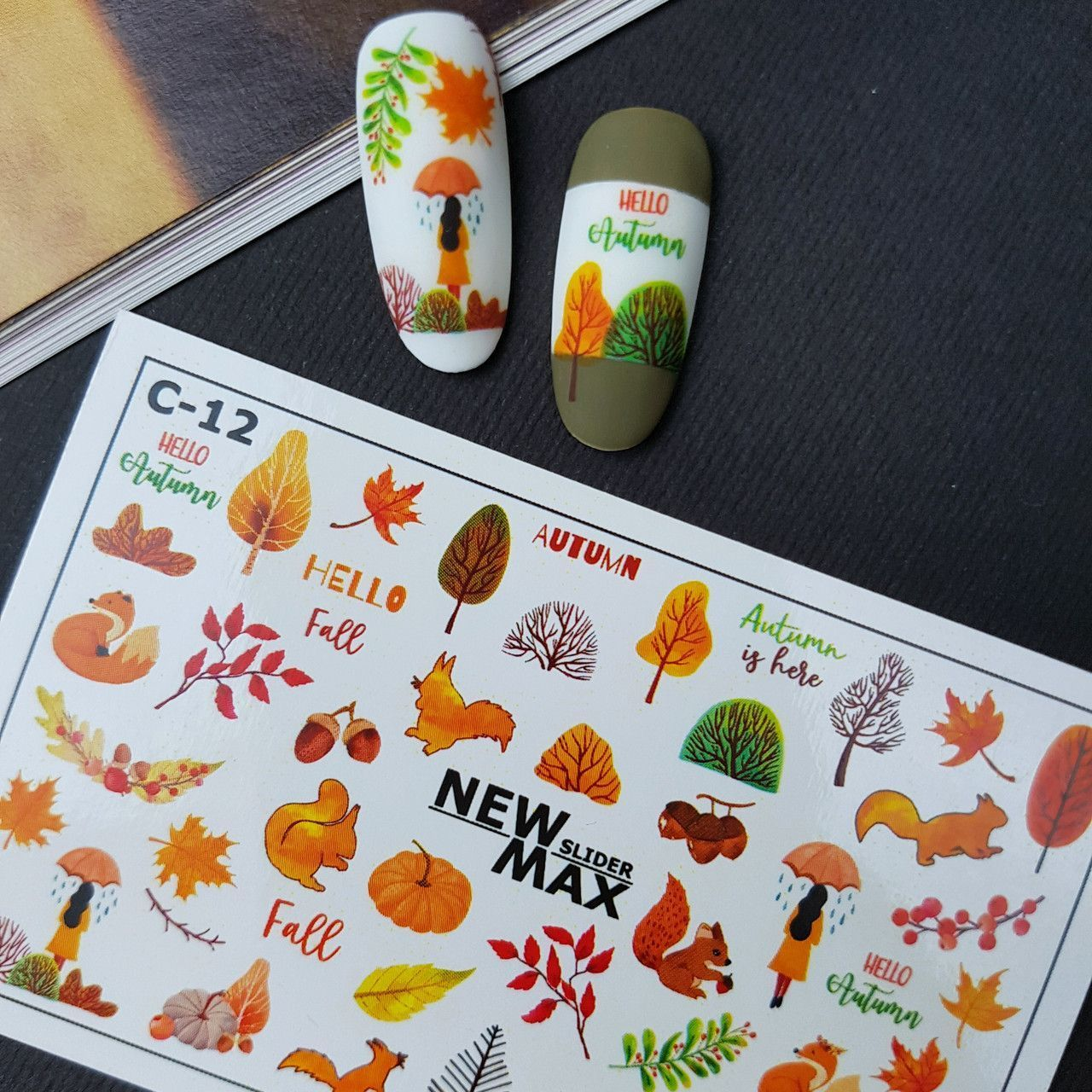 Слайдер дизайн New Max C-12 Color