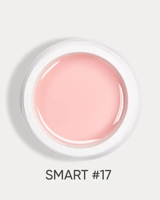 DARK Smart Builder Gel №17, 22 мл