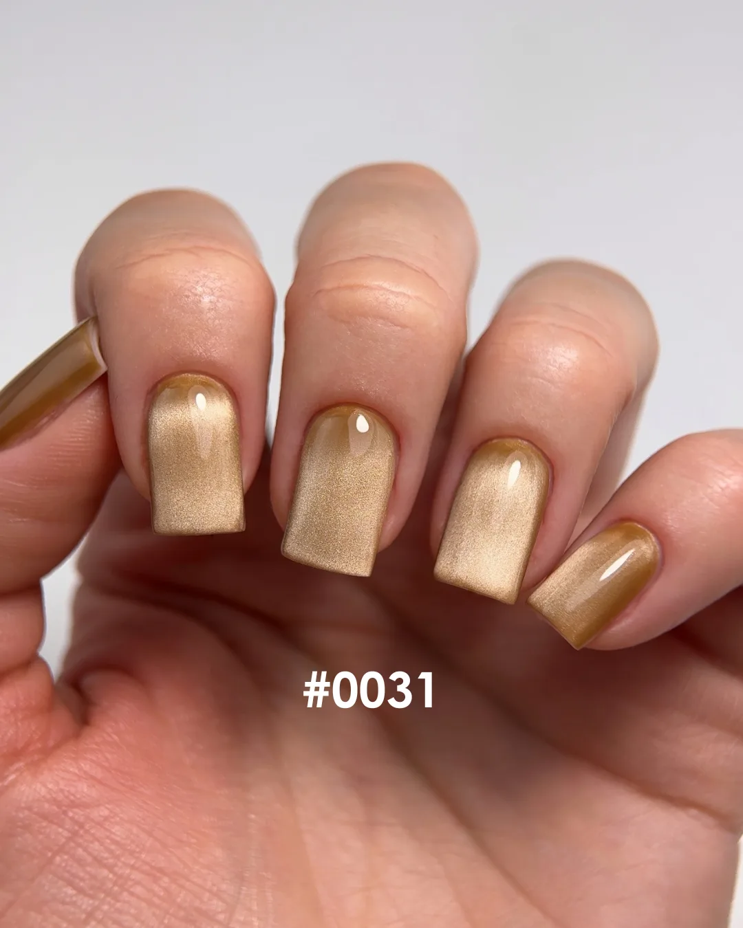 Гель-лак DNKa Cat's Eye, №0031, SILK, 12 ml