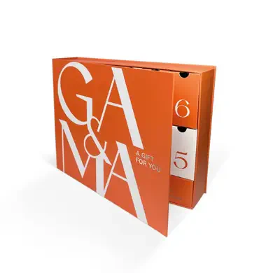 Премиум Бокс для старта с GÉMELY ex GA&MA (Secret box GÉMELY ex GA&MA)