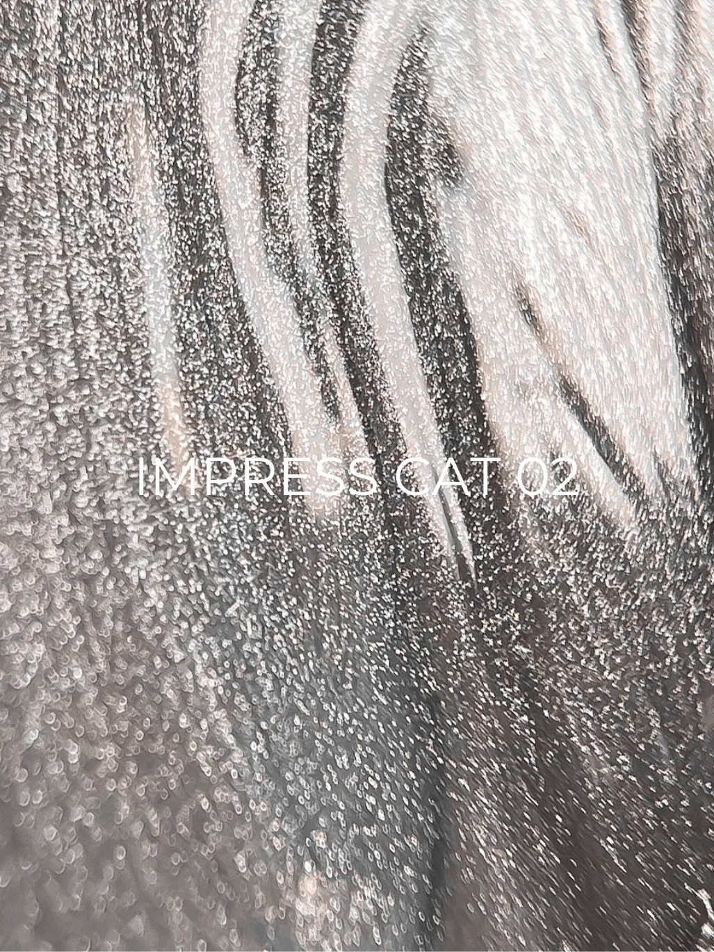 Edlen Impress cat eye №2, 9 мл