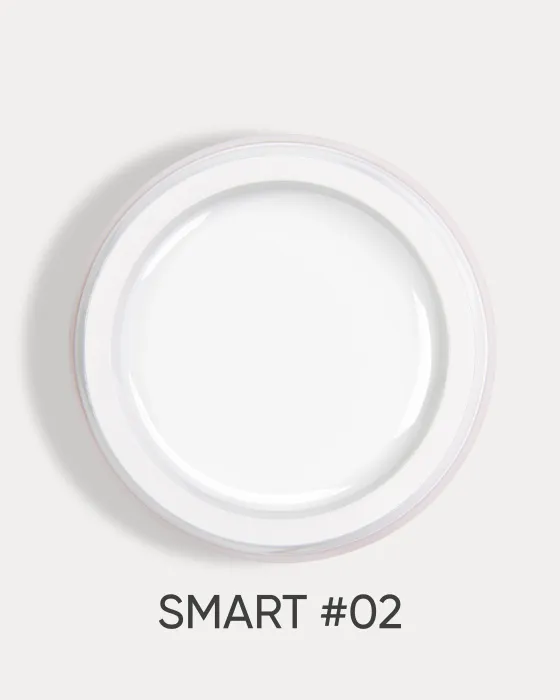 DARK Smart Builder Gel №2, 22 ml