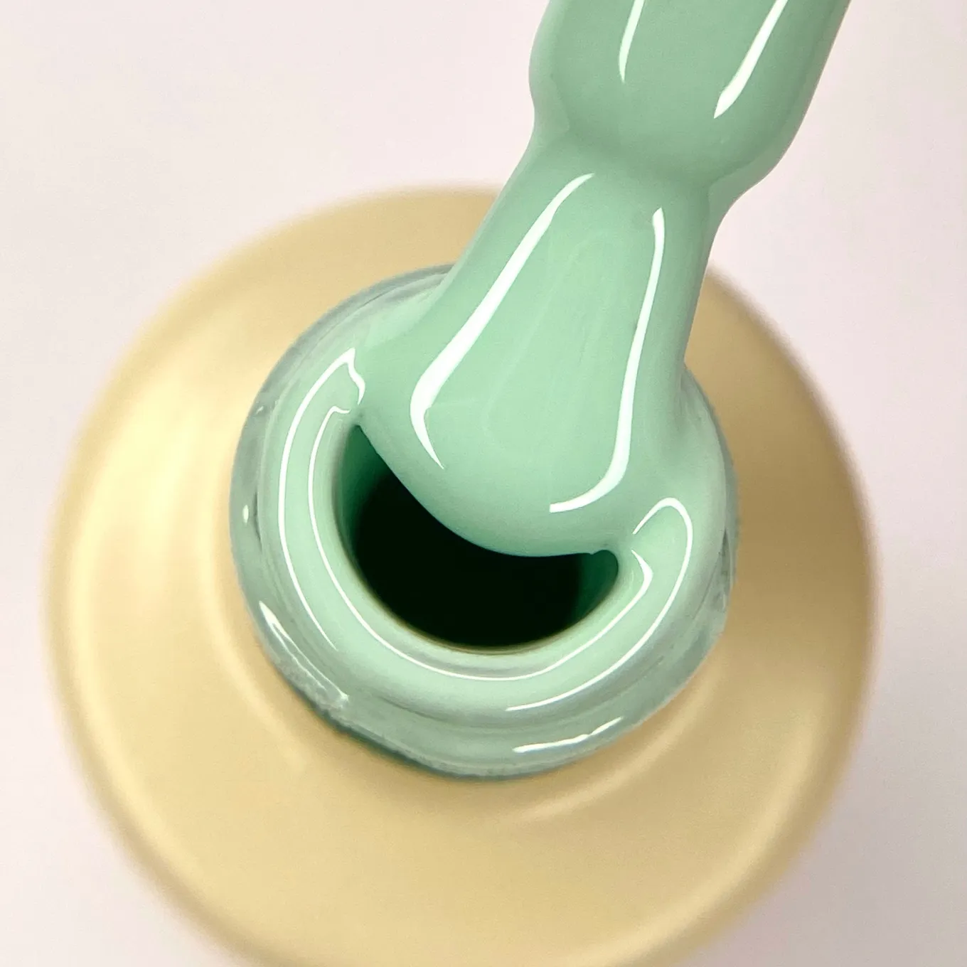 Гель-лак Nika Zemlyanikina the gel polish №031, 6 мл