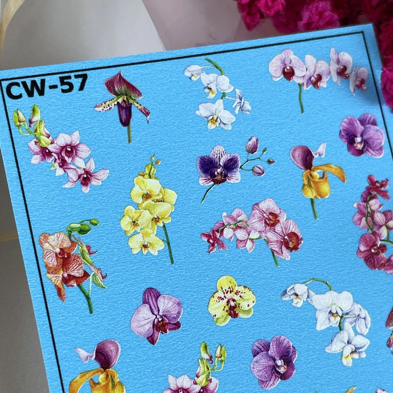 Слайдер Дизайн New MAX CW-57
