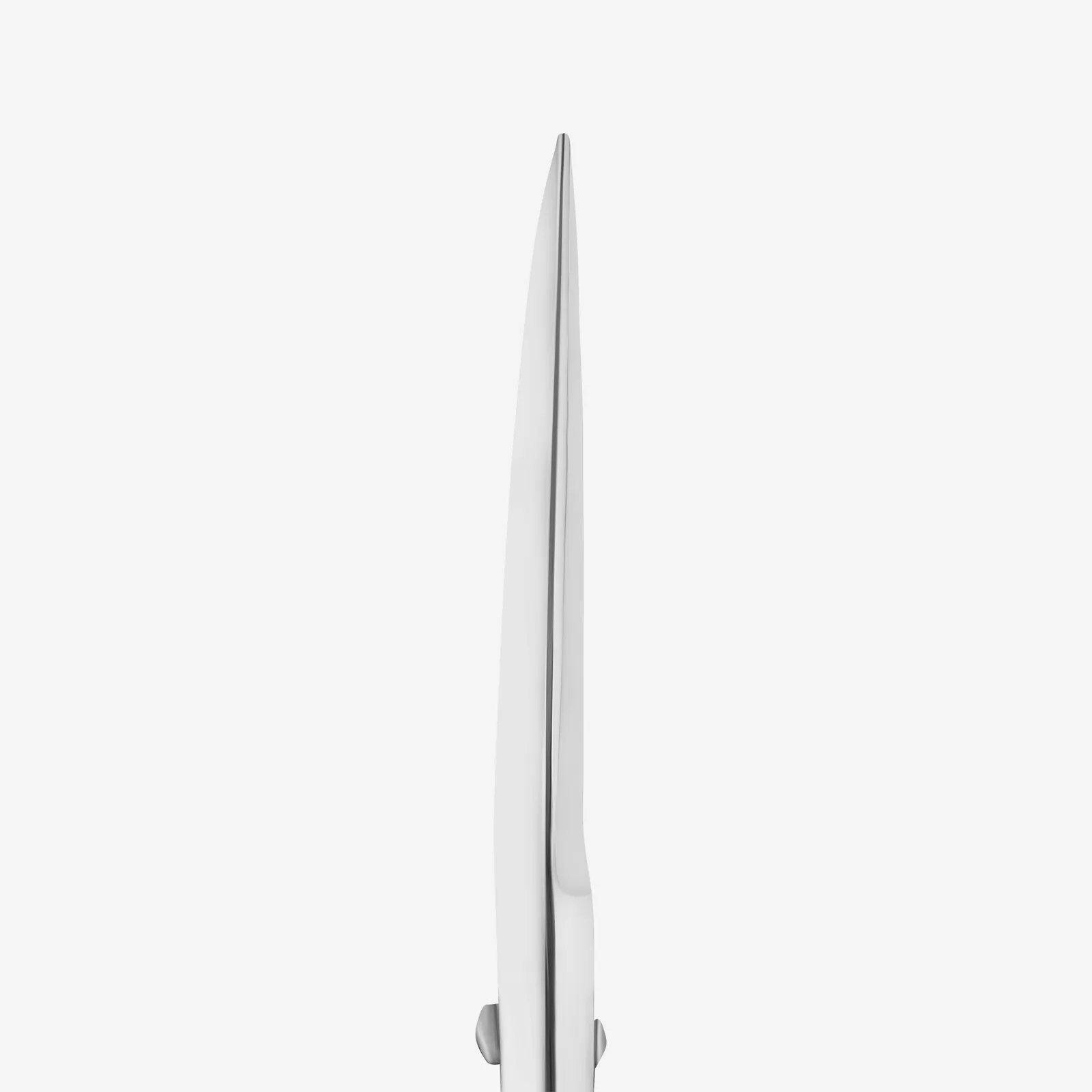 Ножиці для брів Staleks EXPERT 30 Type 1, 32 мм (SE-30/1)